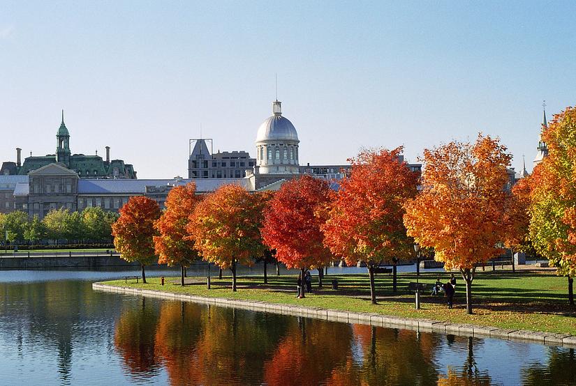 Montreal。蒙特婁